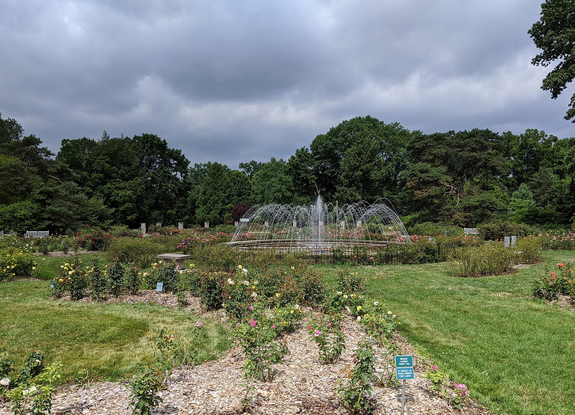 Fountain and rose gardens at the Columbus Park of Roses in Clintonville